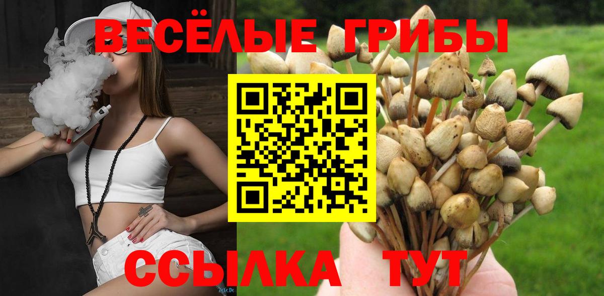 Галлюциногенные грибы Psilocybe  хочу   Когалым  Вход с VPN 